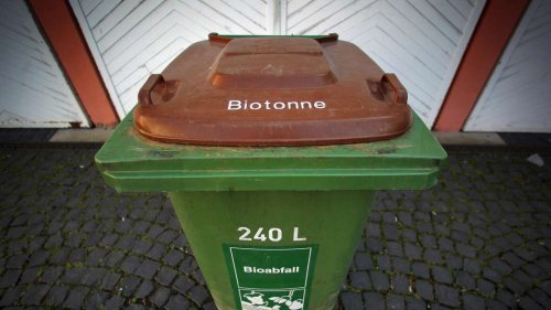 Papier in der Biotonne? Wann Zeitung, Bäckertüte Co. rein dürfen