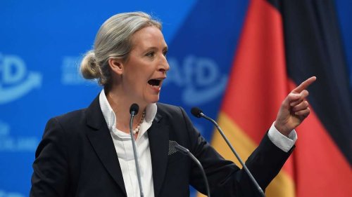 Inwiefern pikante Details des AfD-Gutachtens zu Politikern aus Baden-Württemberg ans Licht geraten sind