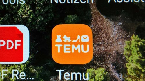 Temu-Shopper aufgepasst: So werden Nutzer der Plattform von Cyberkriminellen ausgenutzt