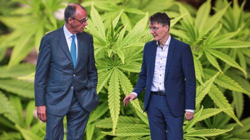 Koalitionsstreit wegen Cannabis: Mit einem Satz beerdigt die Union Lauterbachs Gesetz
