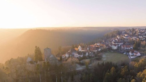 Mysteriöser Tod von Spaziergängerin: Waren Hunde schuld?