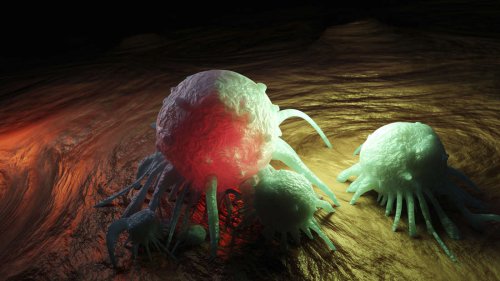 Krebs-Schwachstelle entdeckt: Neue Methode bringt Krebszellen in Remission
