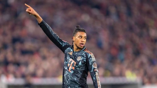 Bundesliga-Marktwerte: Olise legt deutlich zu – Bayerns Erzrivale mit größtem Minus
