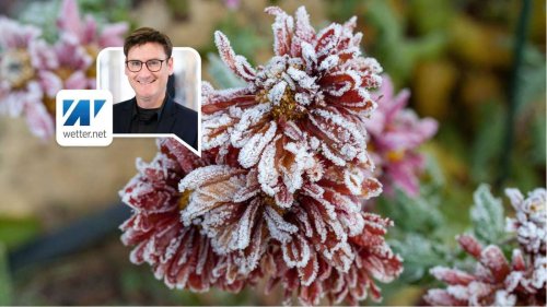 Kälteschock im Mai: Verspätete Eisheilige bringen Frostwetter zurück