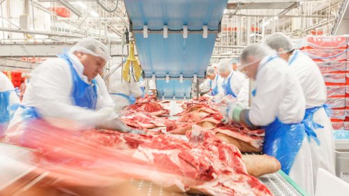 Hubertus Heil und die Fleischindustrie: Erfolg oder Scheinreform?