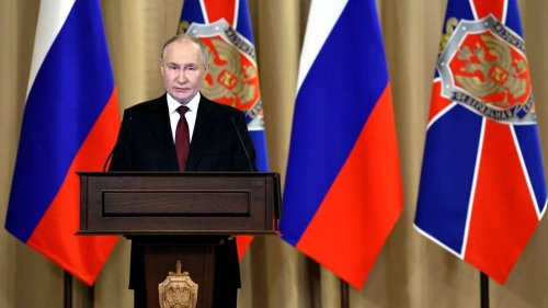 Massive Verluste im Ukraine-Krieg: Aus Mangel an Fahrzeugen – Putin sendet wohl Esel an die Front