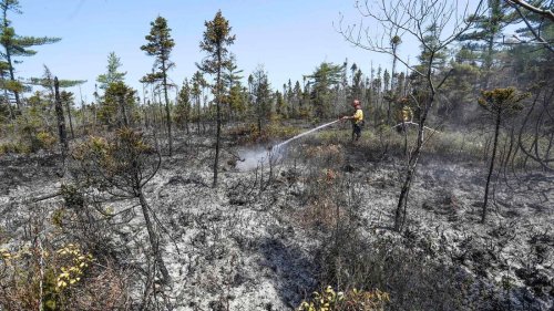 Lage in kanadischen Waldbrand-Gebieten entspannt sich leicht