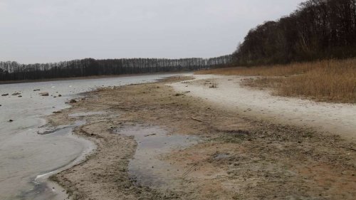 „Jahr für Jahr sinkt der Pegel um 15 cm“ – mehrere Faktoren lassen See-Wasser in Brandenburg schwinden