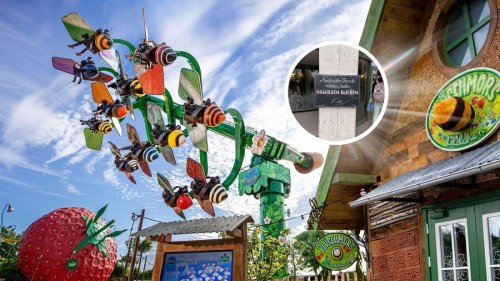 „Müssen leider draußen bleiben“: Freizeitpark wird für Schild am Eingang gefeiert