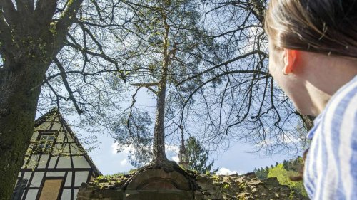 Diese fünf Naturwunder in Baden-Württemberg sollte man gesehen haben
