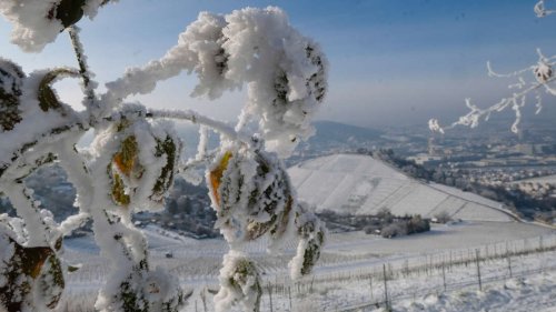 100-jähriger Kalender macht eindeutige Wetter-Prognose – so wird der Winter 2023