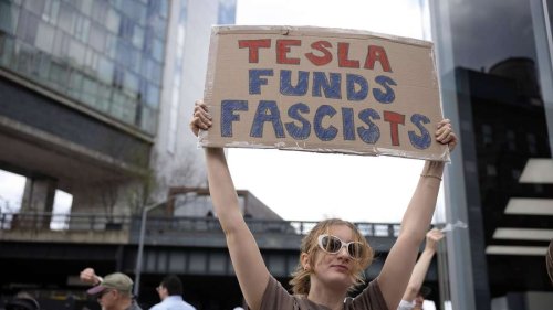 Rückschlag für Tesla-Chef: Selbst treue Fans wenden sich ab: „Will mit Elon Musk nichts mehr zu tun haben“