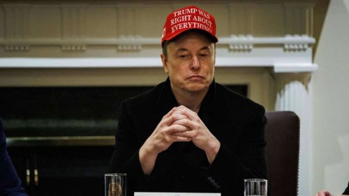 Bericht: Musk fühlt sich gemobbt und will die Politik verlassen