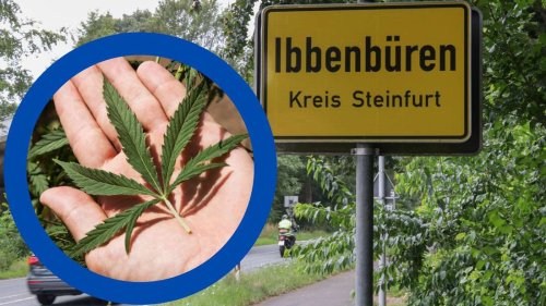 Cannabis-Plantage mitten in NRW? Gärtnerei hat ungewöhnlichen Plan