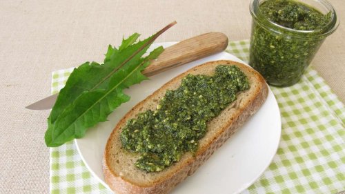 Selbstgemachtes Löwenzahnpesto: Wild, würzig und vielseitig