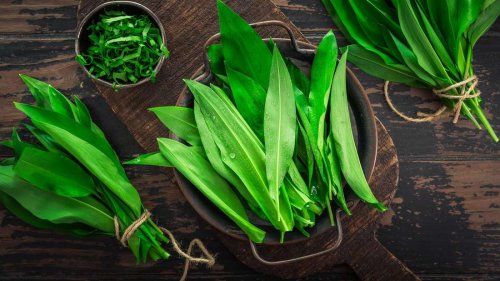 Bärlauch ist sehr gesund – so lange man auf ein paar Punkte achtet