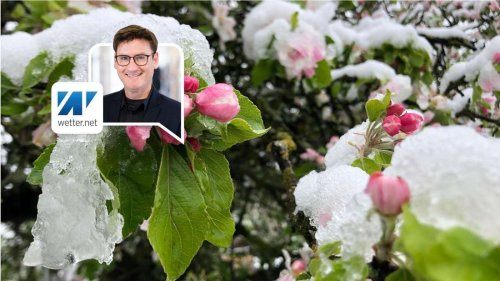 März-Wetter kippt: Nach Sonne drohen Frost und Schnee – Experte warnt für bestimmte Regionen