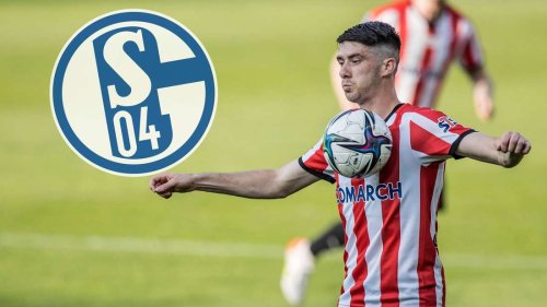 Schalke 04: Transfer-Gespräche mit ablösefreiem Offensivspieler