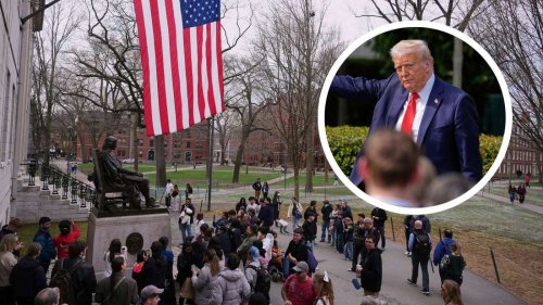 Trump mit nächster Harvard-Attacke: US-Präsident treibt Studierende in die Flucht