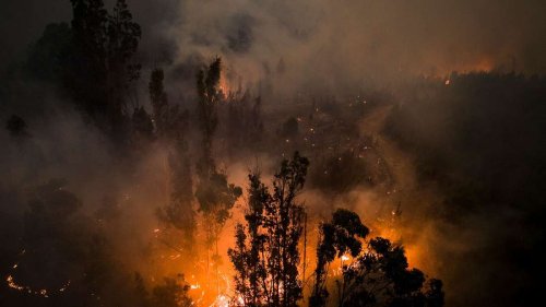 Mindestens 22 Tote bei Waldbränden in Chile