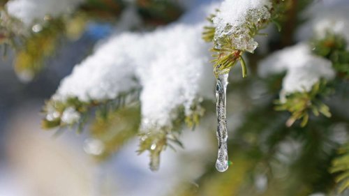Wetter-Prognose zum Wochenstart: DWD rechnet mit Nässe und sogar Frost