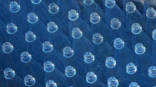 Immer mehr Mikroplastik im Gehirn: Belastung bei Menschen mit Demenz besonders hoch