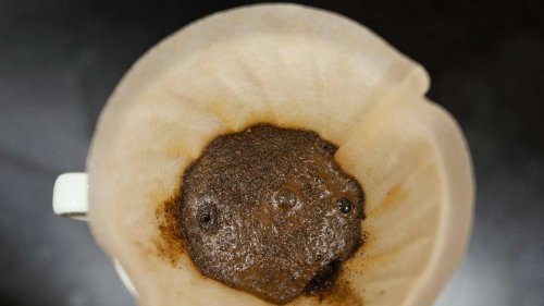 Kaffeefilter im Biomüll entsorgen? Hier gehören sie hin