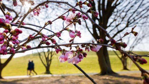Frühlingshafter Wochenstart in Hessen