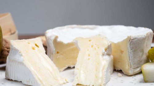 Forschende warnen: Camembert und Brie vom Aussterben bedroht