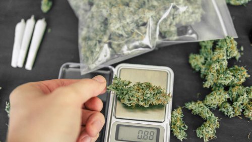 „Hobbygärtner sind das Problem“: Dealer äußert sich zur Cannabis-Legalisierung