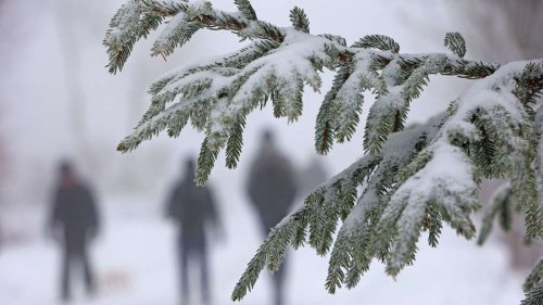 Winter ade? Wetter-Experte rechnet mit „Höchststrafe“ für alle Winterfans