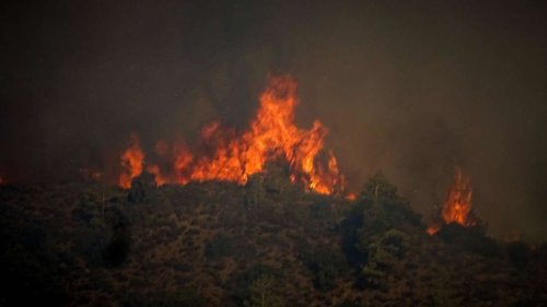 Rhodos, Sizilien, Kroatien: 2023 eines der schlimmsten Waldbrand-Jahre der EU – weitere werden befürchtet