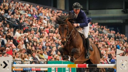 Viele Hürden im Reitsport