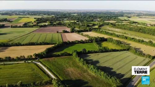 L’agriculture sans chimie redonne vie aux campagnes françaises