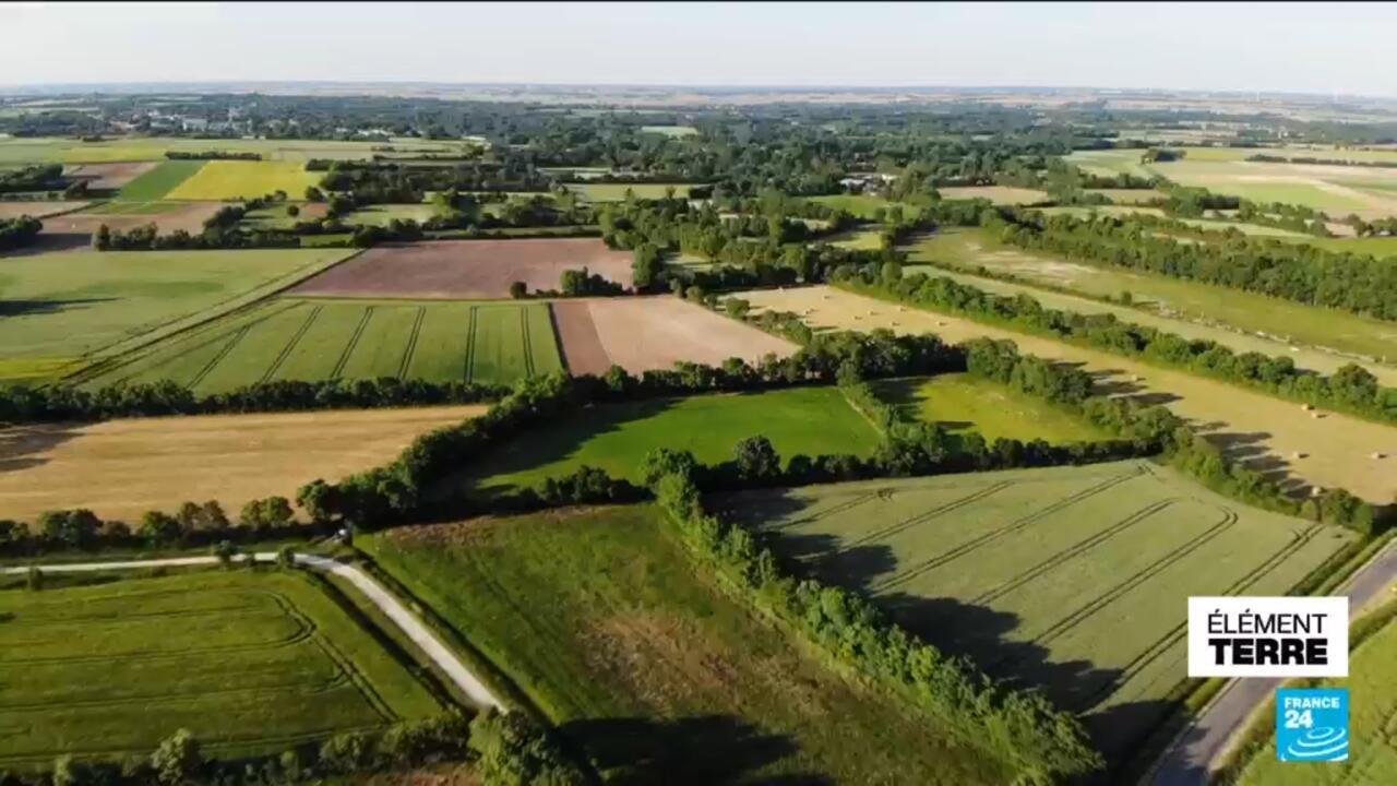 L’agriculture sans chimie redonne vie aux campagnes françaises