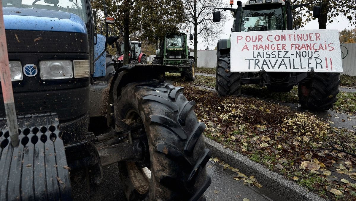 Agriculture : « 40.000 fermes de petite taille ont disparu en trois ans », alerte le mouvement citoyen Terre de Liens – ICI
