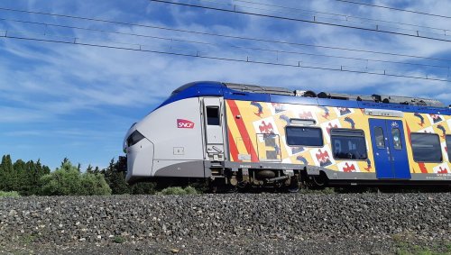 Des voyageurs verbalisés à Marseille pour être montés dans un train conseillé par la SNCF