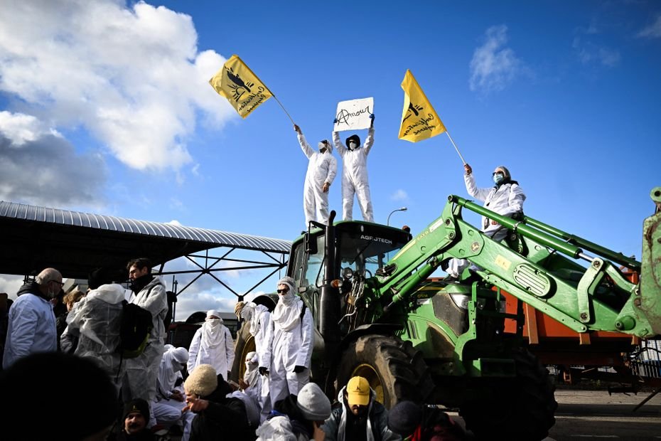 PFAS, pesticides : des activistes s’introduisent dans l’usine BASF de Saint-Aubin-lès-Elbeuf pour dénoncer la production de substances dangereuses interdites en France