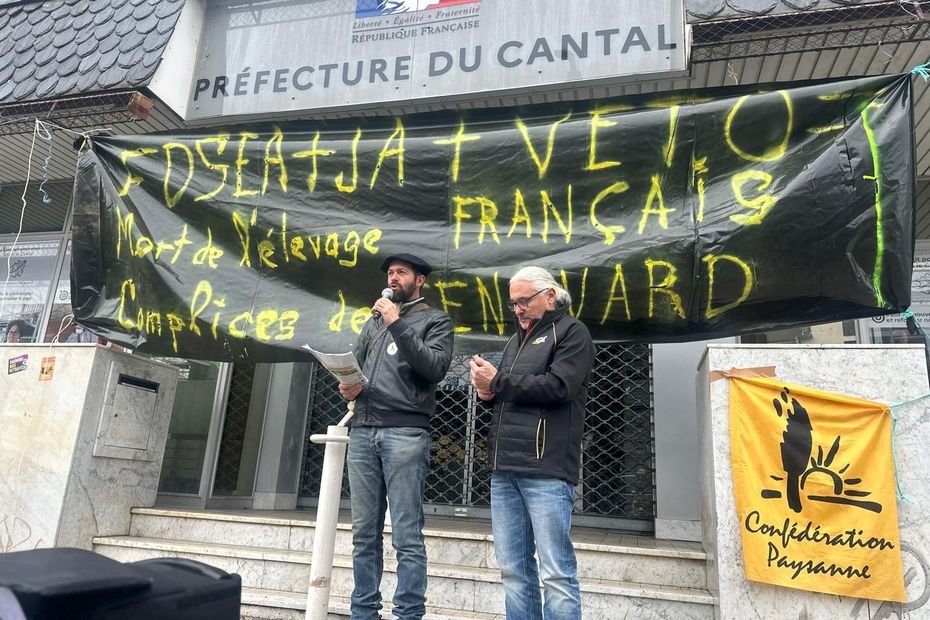 « Si on nous flingue nos animaux, j’arrêterai » : des éleveurs demandent l’arrêt de l’abattage systématique en cas de dermatose nodulaire