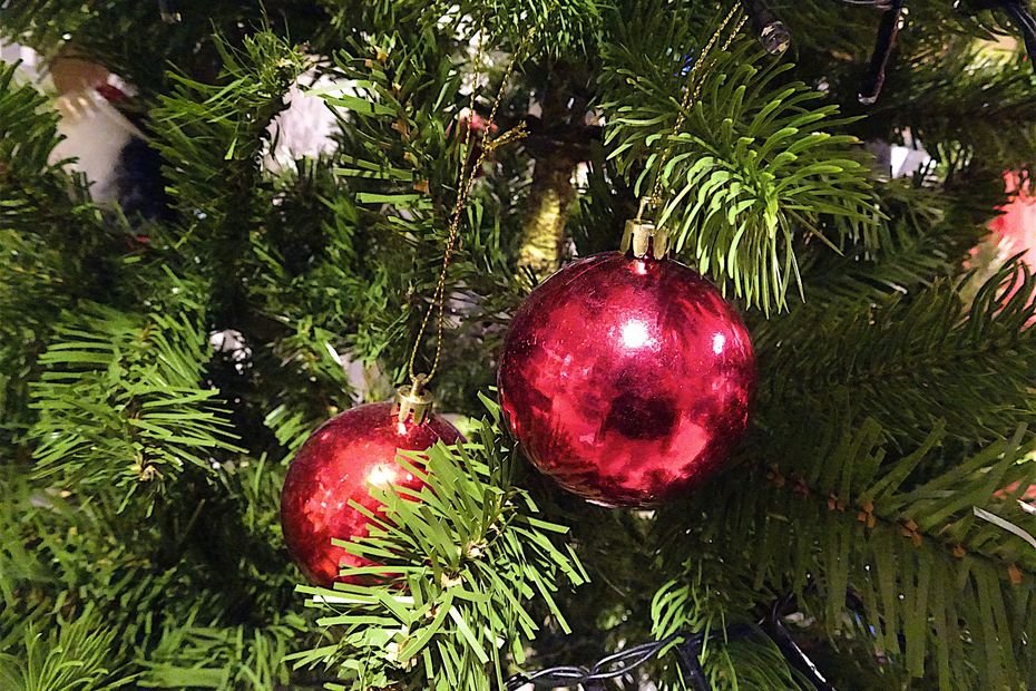 « Dans un tracteur, on ne voit personne de la journée. Là on rencontre du monde », les agriculteurs aussi producteurs de sapins de Noël