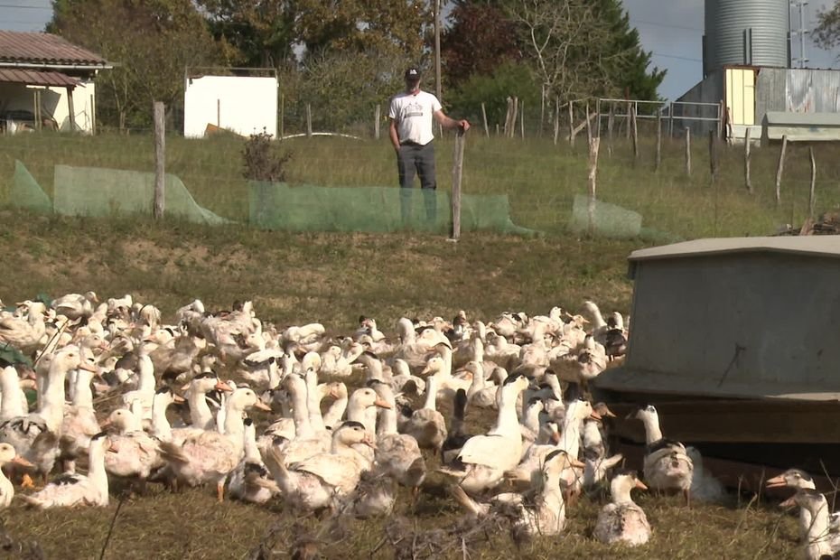« Notre ferme, on l’aime et on veut continuer » : après une série de coups durs, un couple d’agriculteurs lance un appel à l’aide