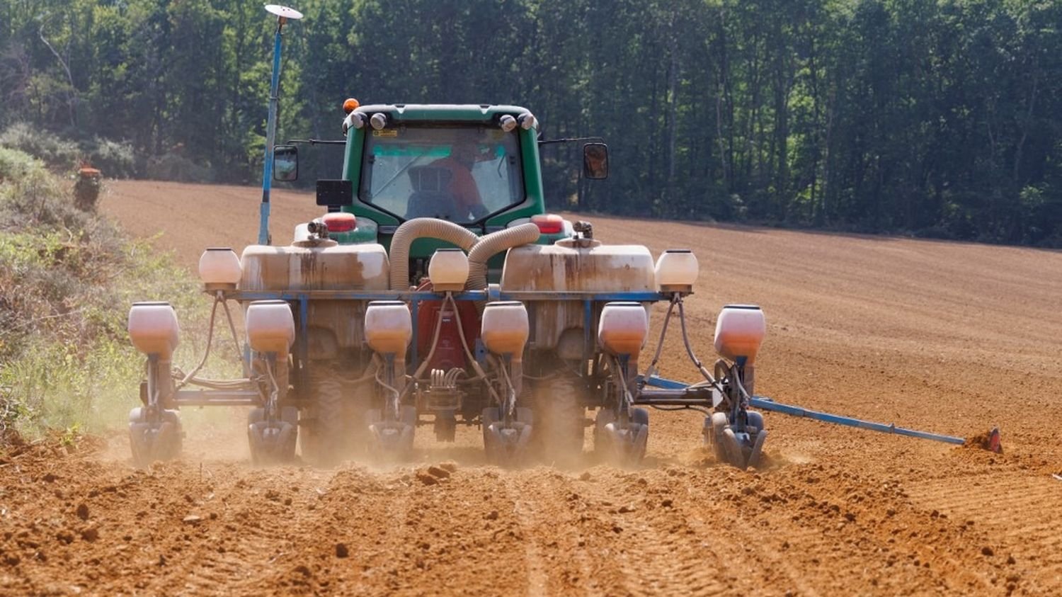 On vous présente les NGT, cette nouvelle génération d&rsquo;OGM que l&rsquo;Union européenne veut introduire dans l&rsquo;agriculture