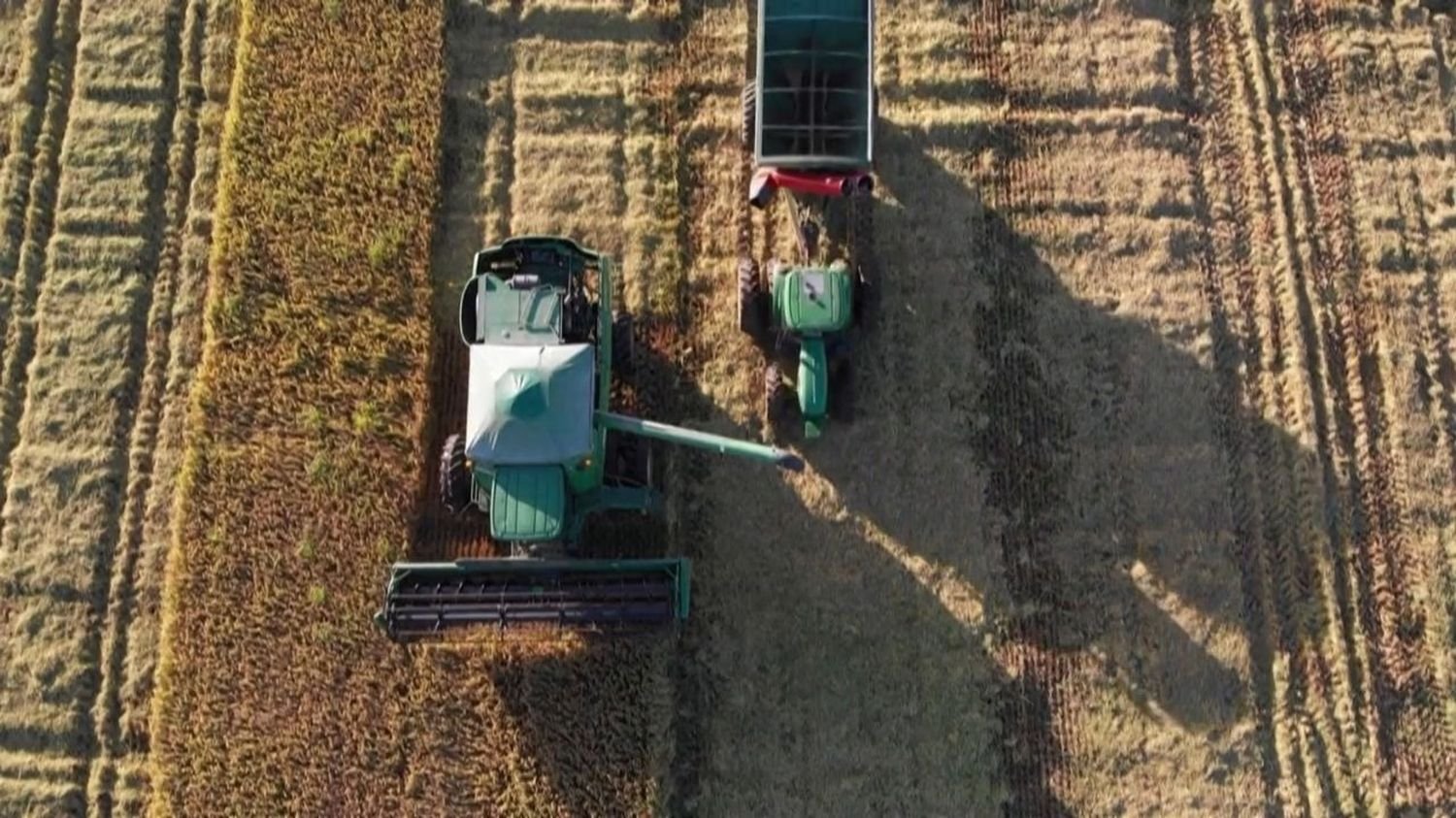 Mercosur : les pesticides du Brésil peuvent-ils se retrouver dans notre assiette ?