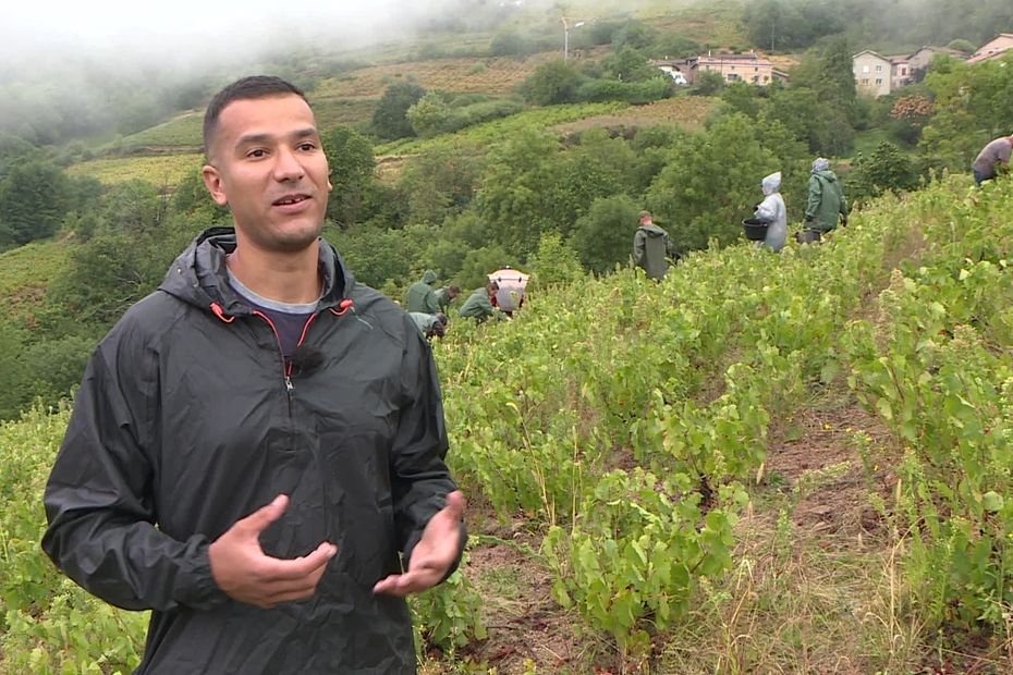 « Une alternative au vin traditionnel » : dans le Beaujolais, cette boisson d’un genre nouveau se développe