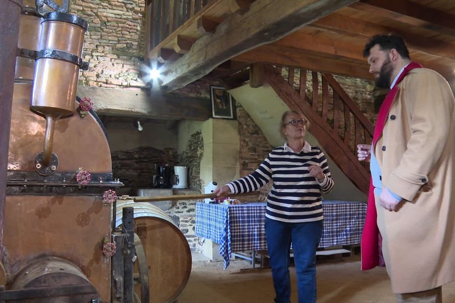  »Il y a toujours une bonne raison pour que les récoltes soient mauvaises » : avec une production divisée par deux, les producteurs d’Armagnac sont inquiets