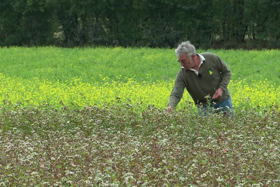 Voilà pourquoi cet agriculteur abandonne la production bio tandis que son collègue persiste dans les cultures sans pesticides