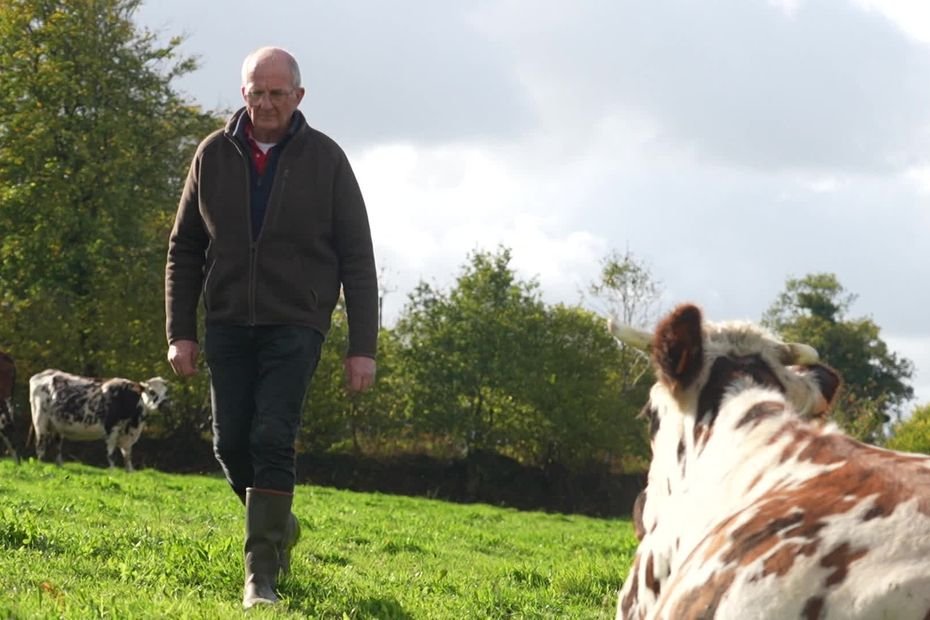 « Ça peut faire vivre aisément une famille » : pour sa ferme bio, Denis cherche un repreneur au bon sens paysan