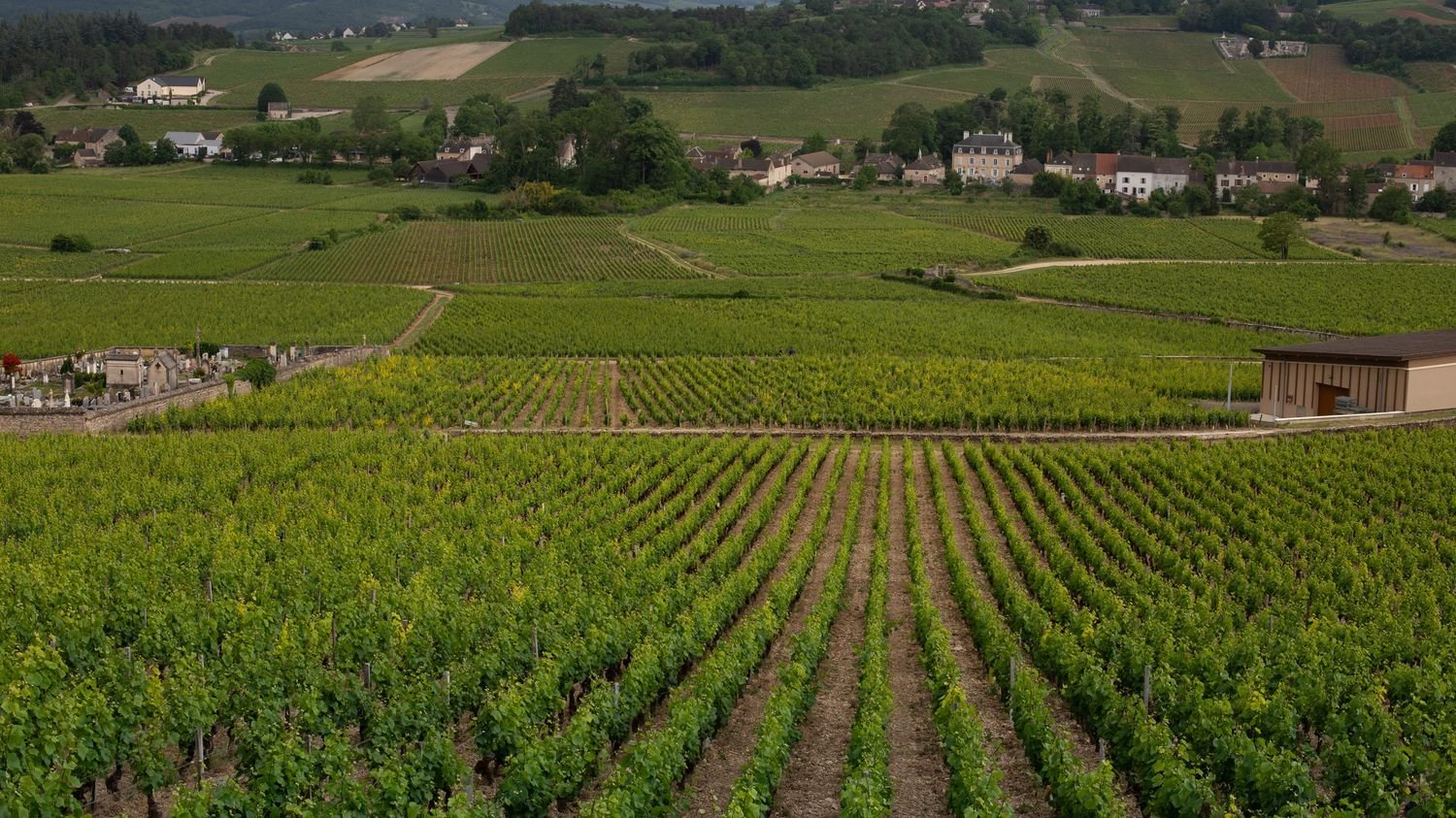 REPORTAGE. « Il y en a assez de nous faire porter la responsabilité » : pour limiter les effets de l’exposition aux pesticides, agriculteurs et riverains organisent leur cohabitation