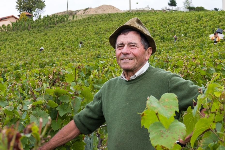 « Toujours proche des vignes et du chai », le viticulteur Robert Sérol, acteur clé de l’AOC Côte Roannaise, est mort
