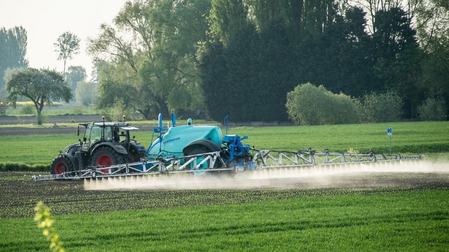 L’agriculture française n’est pas en mesure de se passer de certains pesticides, selon un rapport